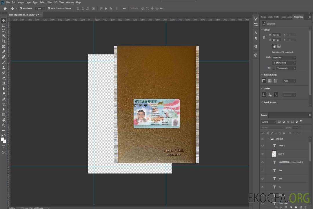 Carte verte des États-Unis, carte de résident permanent (2020 – présent) photolook DEVANT template